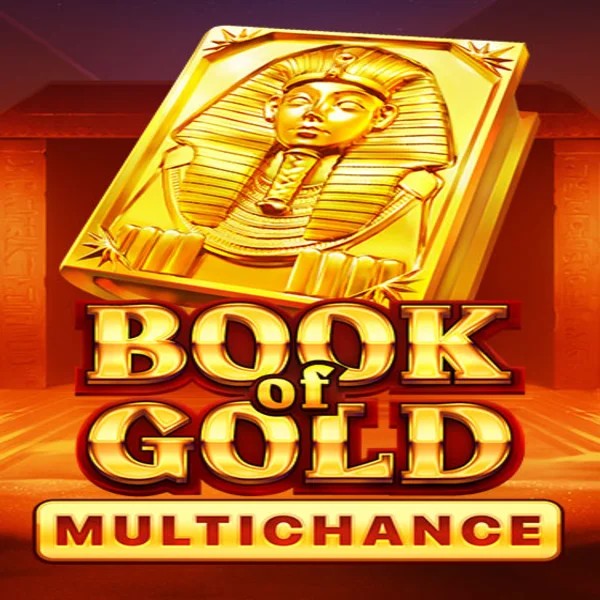 Book of Gold Multichance logo by Playson at Betalice Casino